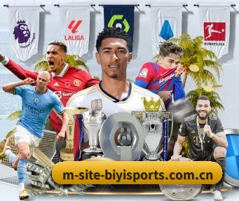 必一体育 APP - BOneSports